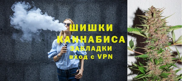 стаф Аркадак