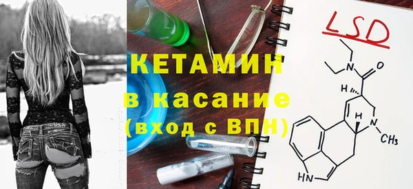 стаф Аркадак