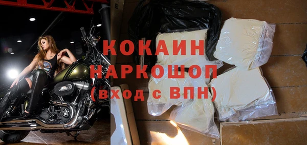 стаф Аркадак